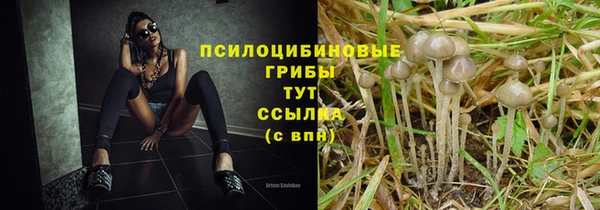 экстази Алексин